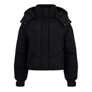 Black - Jack Wills - Ritcher Padded Jacket