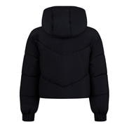 Black - Jack Wills - Ritcher Padded Jacket